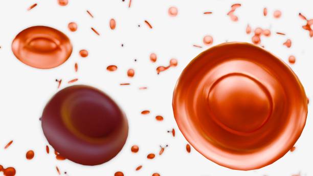 istock 3d rendering of hypochromic red blood cells 2004784886