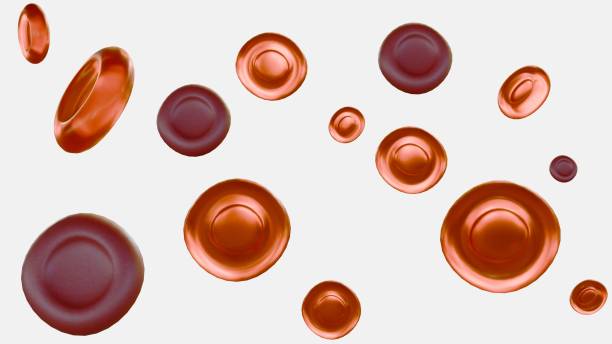 istock 3d rendering of hypochromic red blood cells 2004785073