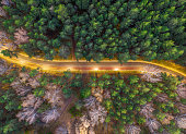 Aerial view of road in beautiful autumn forest at sunset. Beautiful landscape with empty rural road, trees with red and orange leaves.