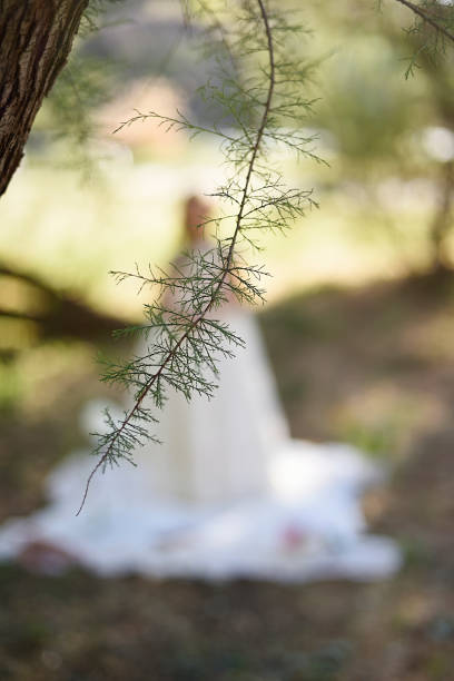 istock Blurred background with First Communion girl and tree twig, graphic resource 2004821290