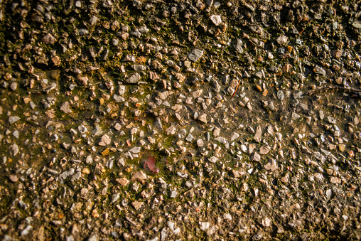 A detailed close-up photo capturing the textured surface of an asphalt road after rain, adorned with raindrops, presenting the beauty of urban moisture.