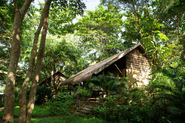 istock wooden house in forest 2004838041