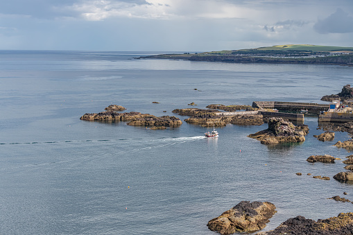 Fishing boat arriving at St Abbs harbour, Scottish Borders, Scotland