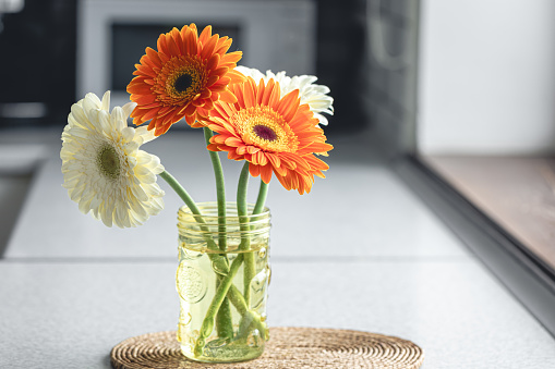 A bouquet of orange and white gerberas in a vase in a kitchen interior. Spring background with fresh flowers at home close up. Copy space.