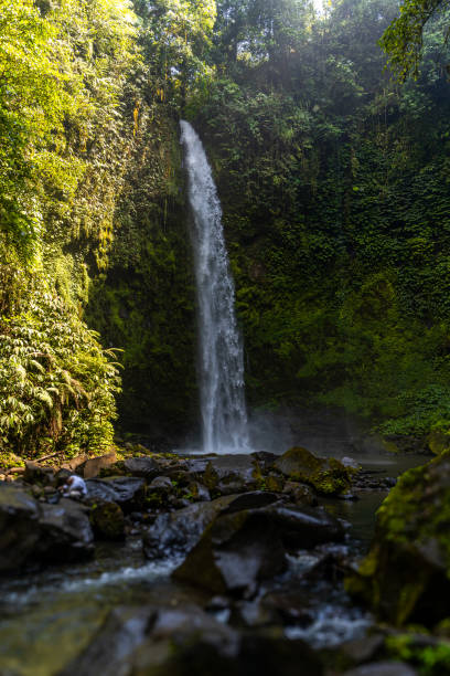 istock incredible waterfall entering the forests of ubud 2004888377