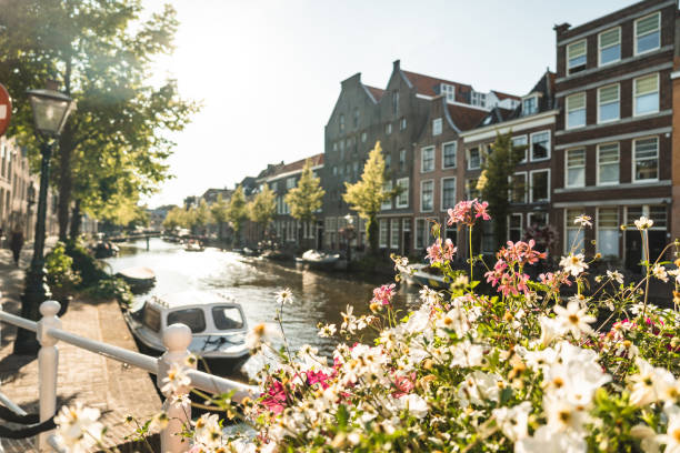 istock summer canal in Leiden 2004899217