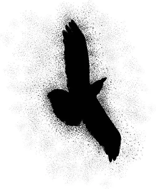 Vector illustration of spray painting crow illustration