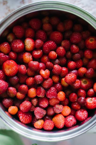 Close-up of a red strawberry in a meadow in the middle of the grass.