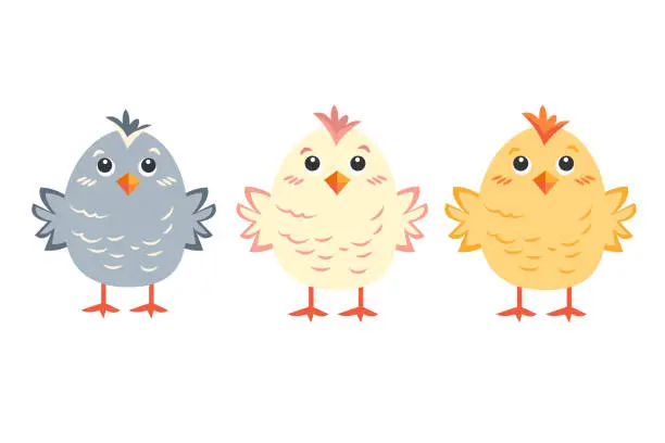 Vector illustration of Set of three cute yellow, pink and gray Easter chicks isolated on a white background. Vector illustration.