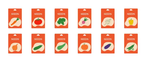 Vector illustration of Set of packaging with seeds drawn by hand. Bright packets of seeds. Vector illustration.