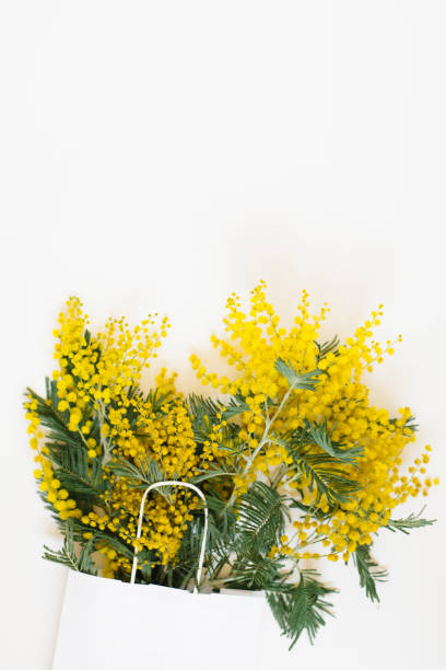 istock Beautiful flowers composition. Branches flowers mimosa on white background. Valentines Day, Easter, Birthday, Mother's day. Flat lay, top view, copy space 2004948458