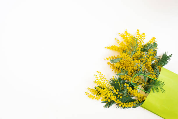 istock Beautiful flowers composition. Branches flowers mimosa on white background. Valentines Day, Easter, Birthday, Mother's day. Flat lay, top view, copy space 2004954312