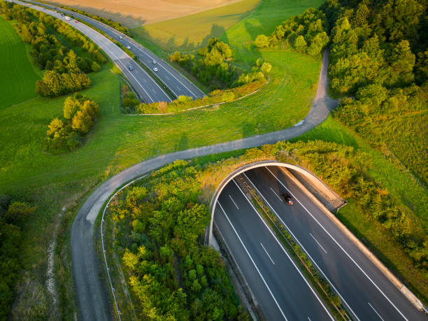 istock Aerial view of a green overpass over almost empty highway. 2004956455