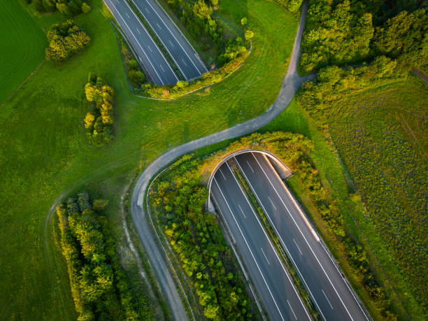 istock Aerial view of a green overpass over an empty highway during sunset. 2004958034
