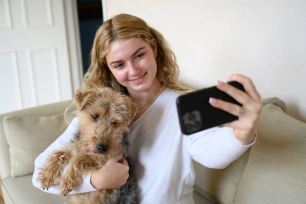 istock Young woman taking a selfie with pet Welsh Terrier dog 2004959732