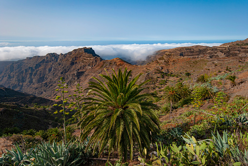 The magnificent mountain world of the Canary Island of La Gomera is best explored on foot on well-signposted hiking trails.