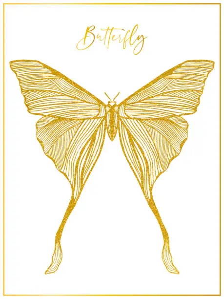 Vector illustration of Hand Drawn Gold Colored Watercolor Butterfly Poster. Design Element, Clip art, Template for Greeting and Invitation Cards.