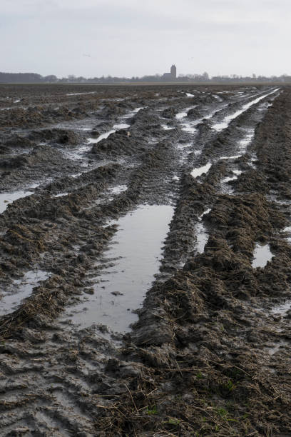 istock A flooded agricultural field due to heavy rainfall 2004984911