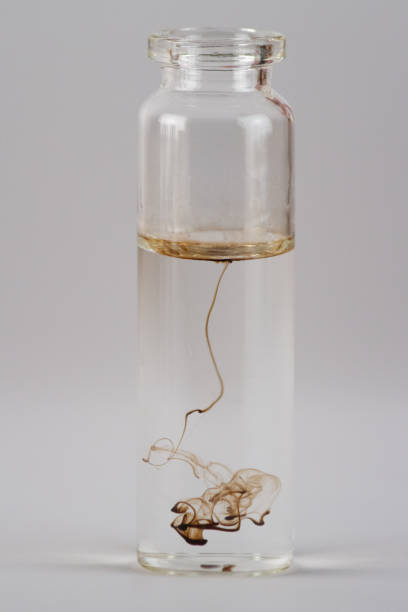 istock a drop of blood dissolving in a clear liquid 2004990350