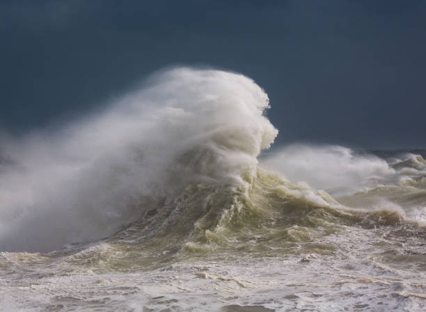 istock Lady of the Sea 2005016469
