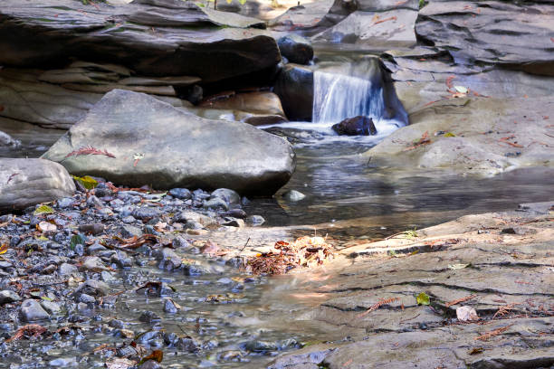 istock Water flowing through a river bed with colorful rocks. 2005028050
