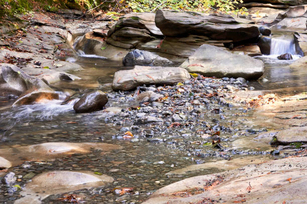A small waterfall at the back of a creek bed
