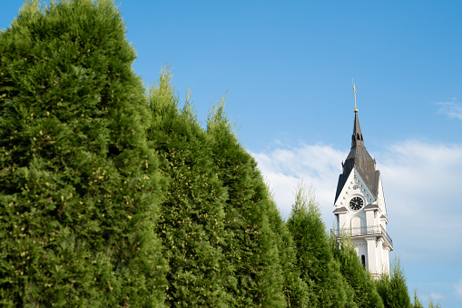 beautiful cathedral against the background of blue sky and green bushes