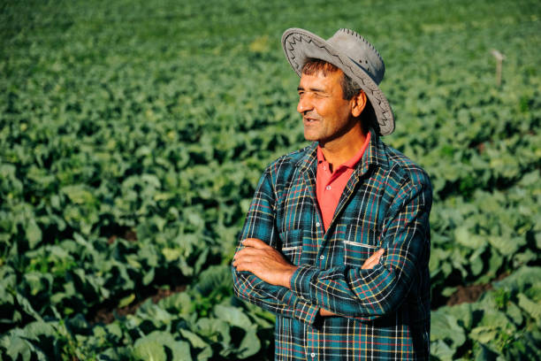 istock American farm owner with folded hands thinking about vegetable field 2005036114