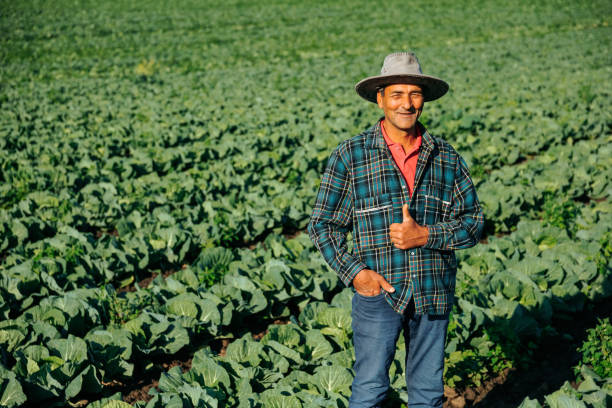 istock old Indian farmer with his hand in his pocket showing ok sign 2005036498