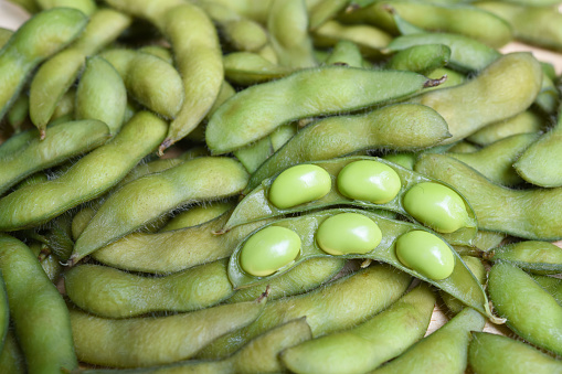 fresh edamame beans, boiled green soybeans in pod .