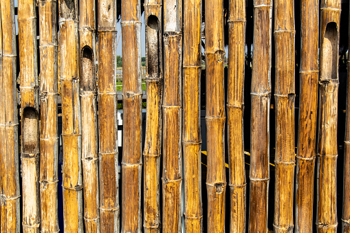 Bamboo patterned curtain textured backdrop background.