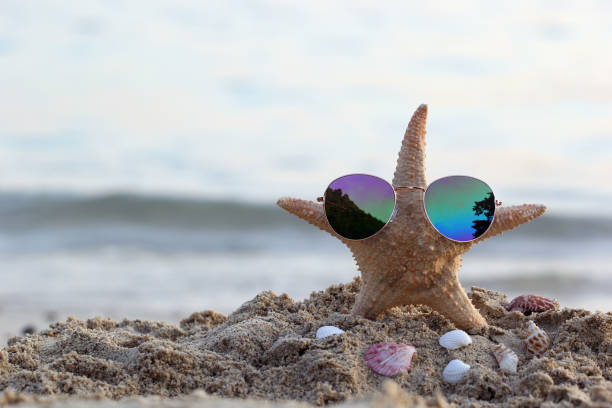 istock Sunglasses on starfish in tropical beach 2005100287