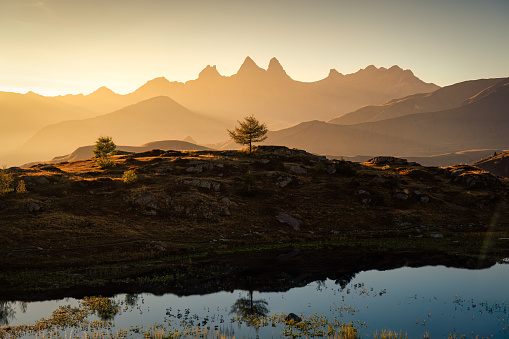 Picturesque landscape of golden sunrise over Arves massif with lonely tree relfection on Lac Guichard at French Alps, France