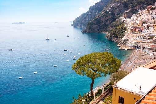 Pine tree and Positano town on Amalfi coast, Italy