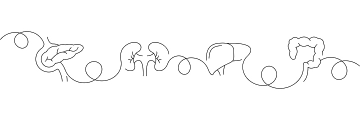 Continuous One Line Drawing Human Organs Icons Concept. Single Line Vector Illustration.