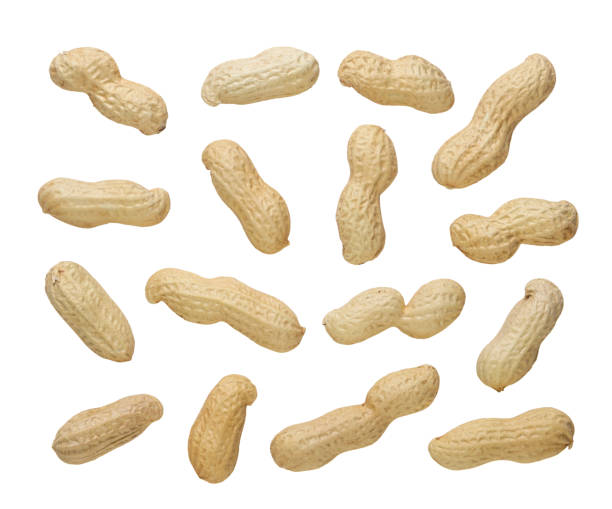 istock Set of peanuts in shell on a white background. Top view 2005117316