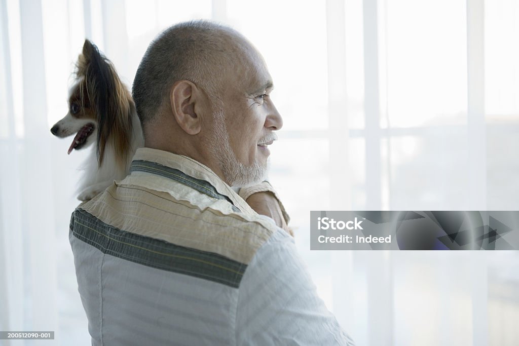 Senior uomo in piedi accanto a finestra, portare cane, vista posteriore - Foto stock royalty-free di Cane