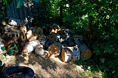 A pile of firewood lies in the garden in summer
