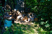 A pile of firewood lies in the garden in summer