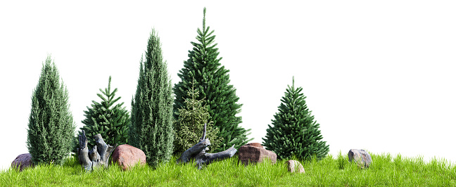 Garden trees, rock and stumps design isolated on white background. 3D render. 3D illustration.