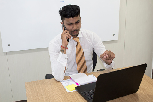 Professional entrepreneur discussing important business matters on the phone, gesturing towards key details on his laptop and meticulously organized notes, exemplifying strategic decision-making in a modern office setting.