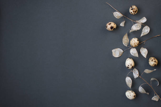 istock Happy Easter greeting card with Easter quail eggs and Honesty plant or dried Lunaria white leaves on dark blue background with copy space 2005175757