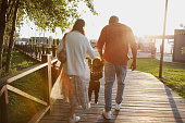 Back view of family with small child walking in park, holding baby hands at sunset, in rays of setting sun. Mom, dad and son in the middle