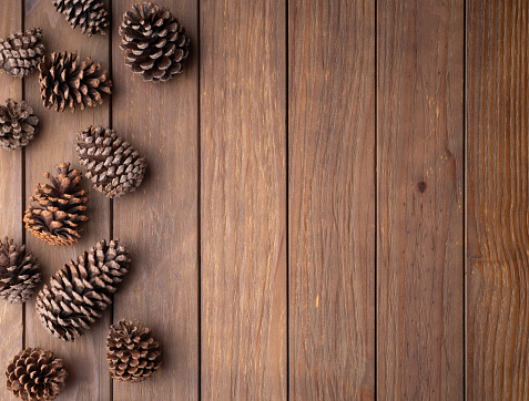 Group of pinecones over wooden table with copy space.