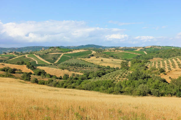 istock typical landscape of the Tuscan Maremma 2005242024