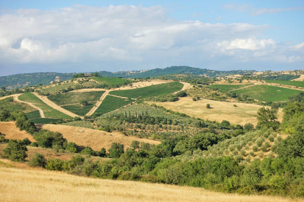 istock typical landscape of the Tuscan Maremma 2005243075