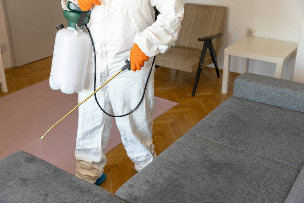 istock Worker in protective suit with decontamination sprayer bottle disinfecting household and furniture. Pest control concept. 2005261037