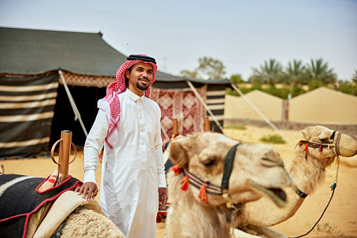 Man in late 20s wearing traditional clothing, standing between reclining dromedaries, smiling at camera, tent in background.