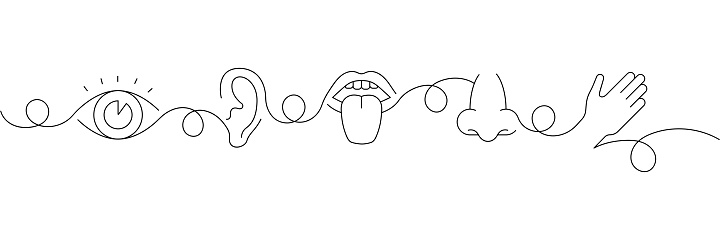 Continuous One Line Drawing Five Senses Icons Concept. Single Line Vector Illustration. Eyesight, Smelling, Tongue, Hearing, Touching.