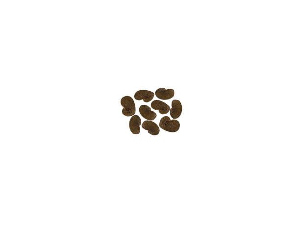 istock Astragalus seed or milkvetch seed 2005311626
